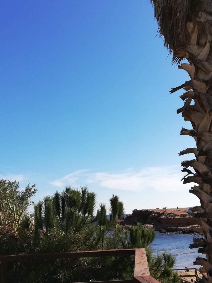 Perfect For Exploring Local Areas And More Torrevieja Eksteriør billede