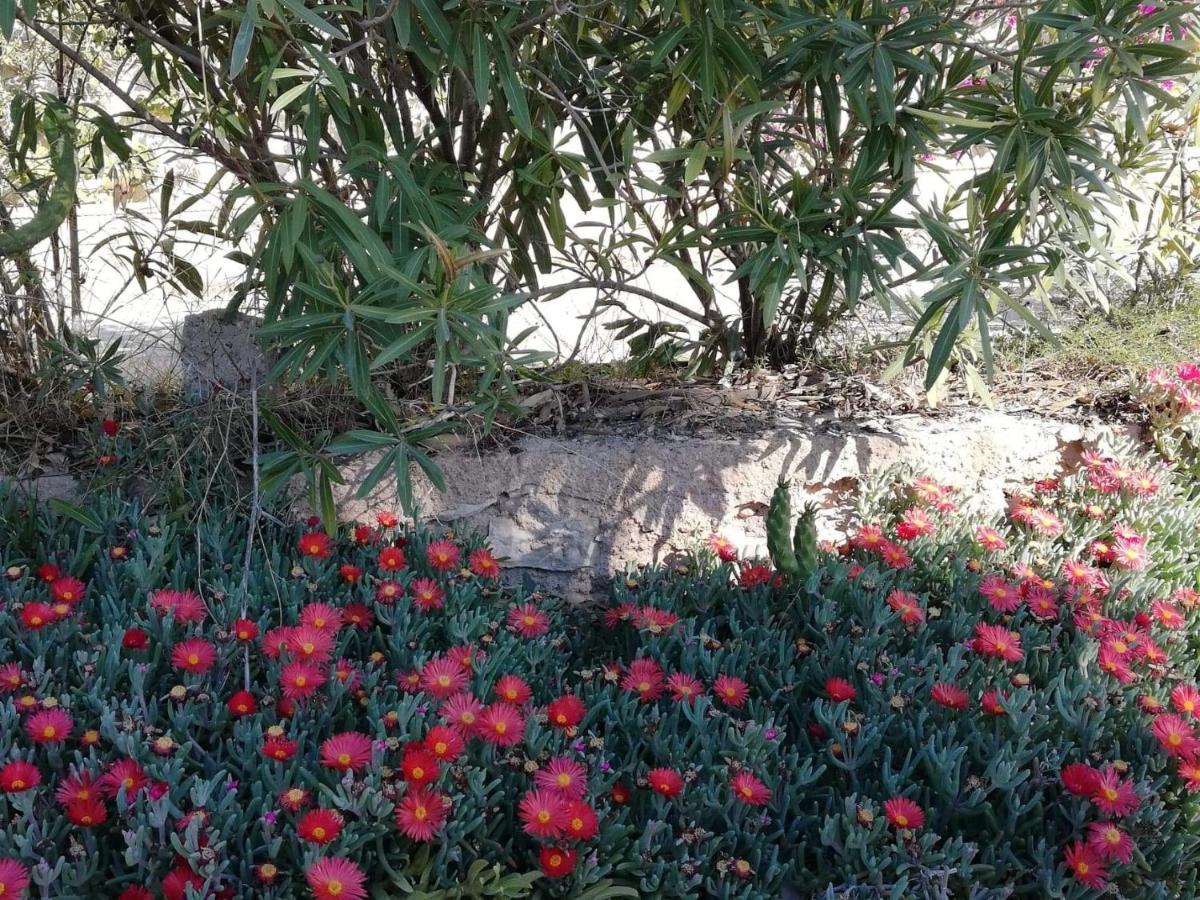 Perfect For Exploring Local Areas And More Torrevieja Eksteriør billede