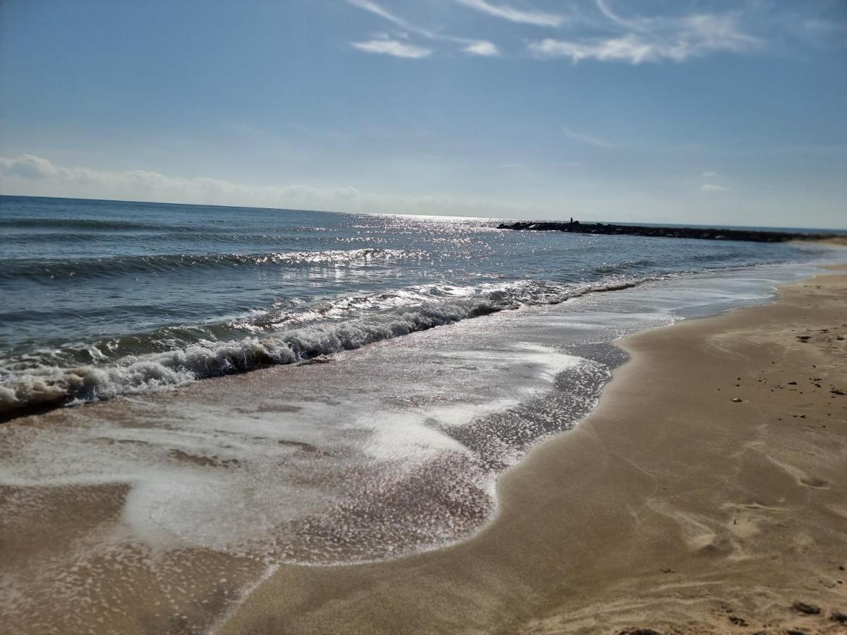 Perfect For Exploring Local Areas And More Torrevieja Eksteriør billede